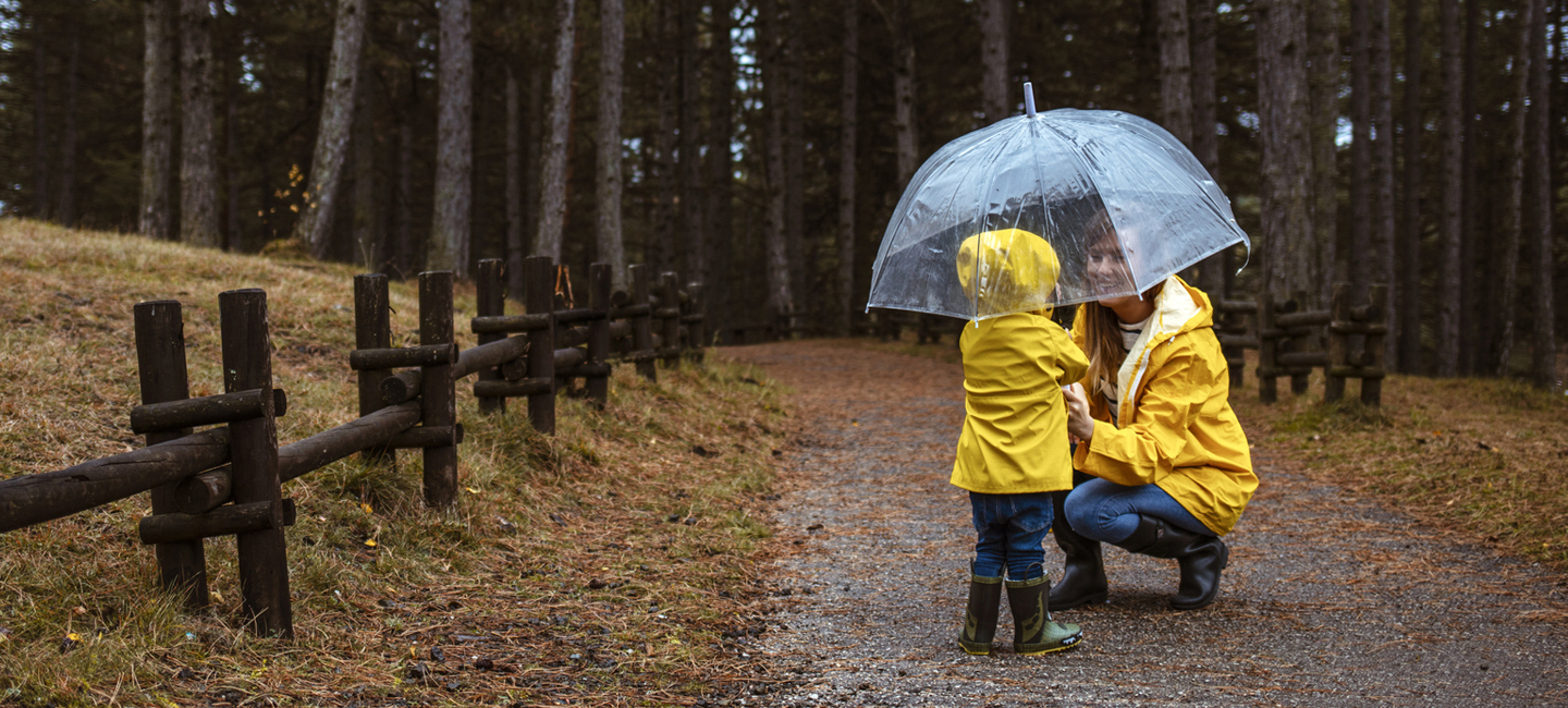 Oregon Umbrella Insurance Coverage